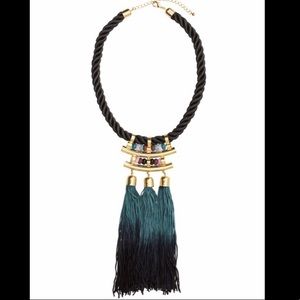 AMAZING Ombré Tassel Necklace! Like New!